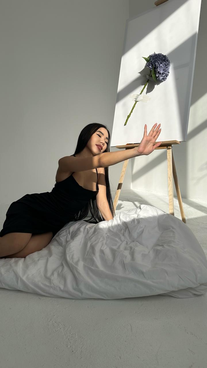 Модель Yasmin