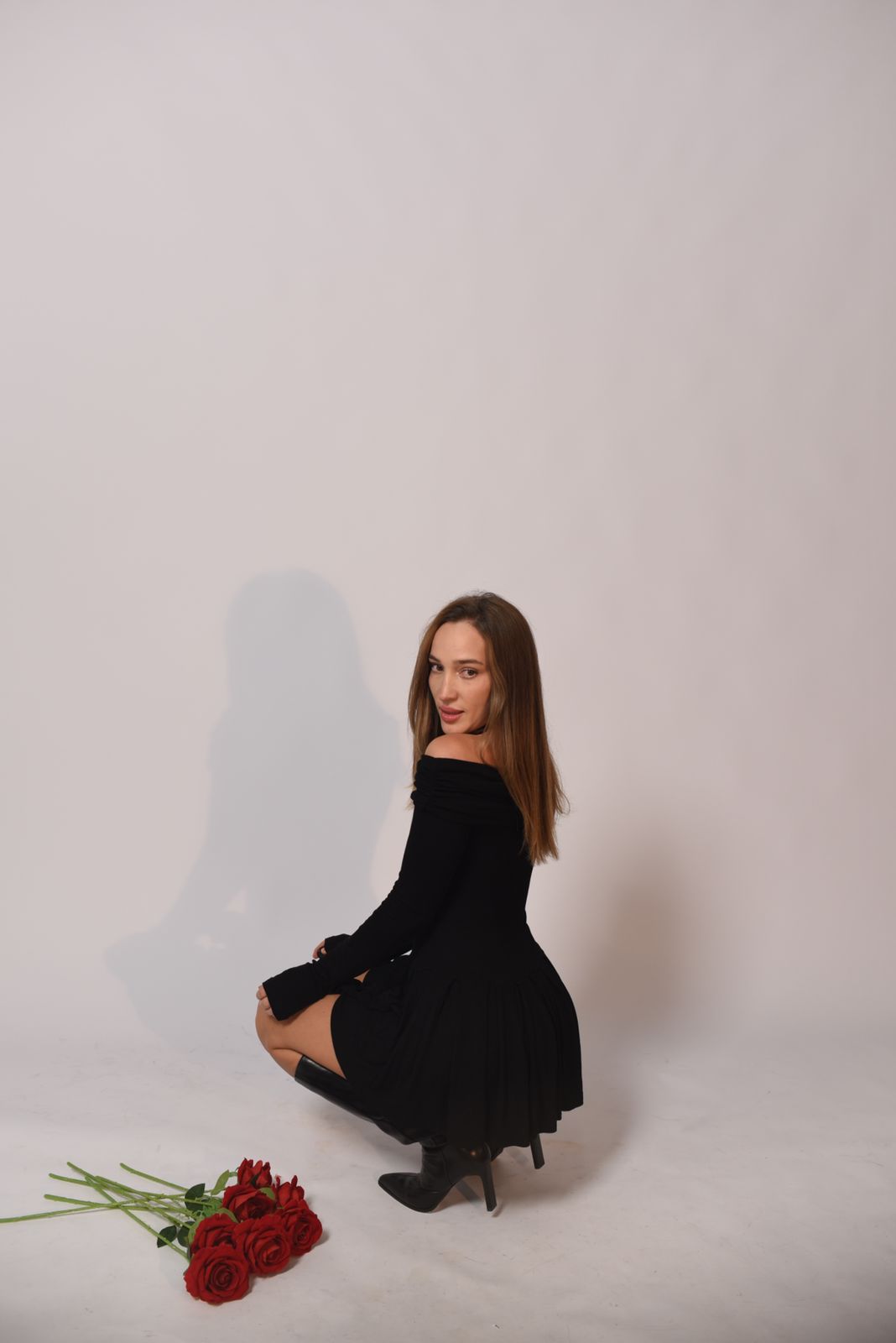 Модель Leila